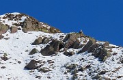 Lago di Pietra Quadra (2116 m)-prima neve in bella compagnia dalle Baite di Mezzeno-29sett25 - FOTOGALLERY